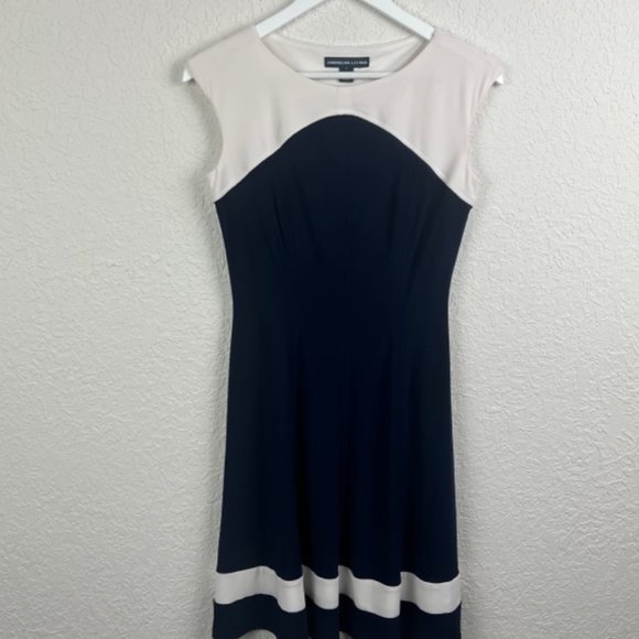 AMERICAN LIVING Two Tone Stripe Sleeveless Pullover Dress Nautical Coastal Size4 - Picture 3 of 8